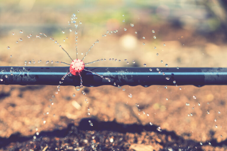 Rain Harvesting System What You Need To Know My Rain